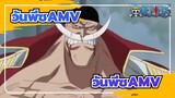 [วันพีซ AMV] หนวดขาว: ข้าเป็นพ่อที่รับผิดชอบหรือเปล่า