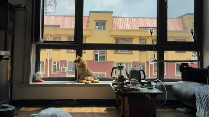 Bener-bener bikin terharu—rasanya kayak hari-hari yang udah lewat lagi terulang.