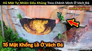 Chơi Lớn Tóm Gọn Hũ Mật Tự Nhiên Siêu Khủng Treo Trên Vách Đá Cực Hiểm || Review Giải Trí Đời Sống