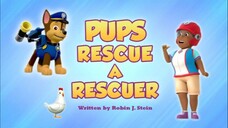 Paw patrol Musim 6 Episode 23 original