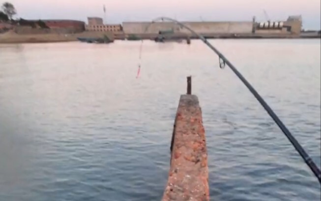 นี่ไม่ใช่การหลอกล่อ นี่คือการรับสินค้ามาขาย