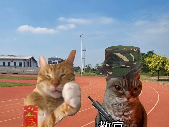犯我中华者 虽远必诛