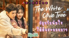 Episode 34