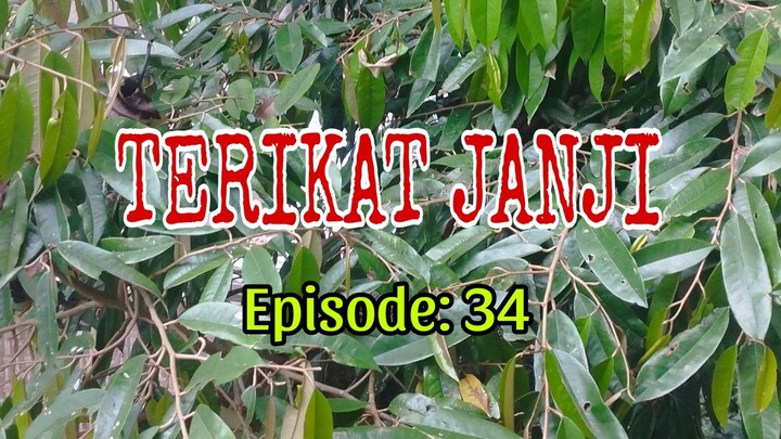 TERIKAT JANJI [Eps. 𝟹𝟺]