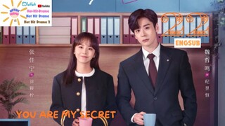 YOU ARE MY SECRET| Ep22 ENGSUB 2024| Chinese Drama | HOT HIT DRAMA