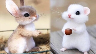 AWW Animals SOO Cute! OMG Cute baby animals Videos Compilation Cutest moment of the animals 1