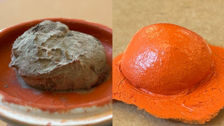 Mold Removal for Seal Ink Pads | You’re Not Here, But It Matters to Me