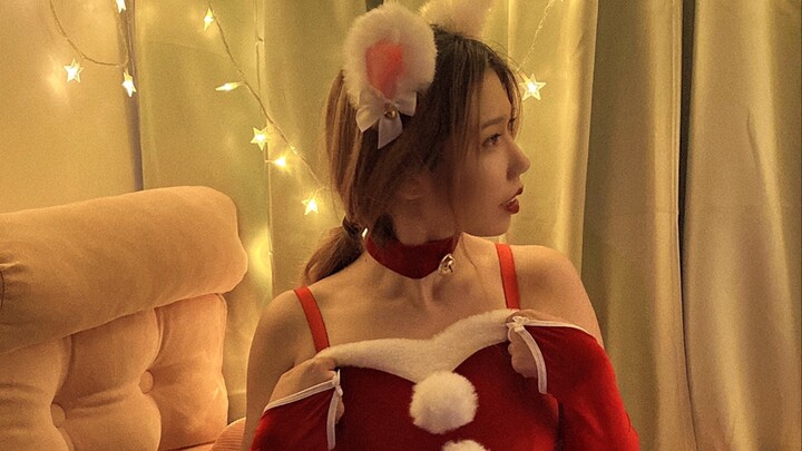 【圣诞主题】是一只提前过圣诞的小猫咪了