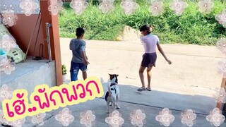 โลกของแสนดี ตอน ฝึกเล่นเป็นทีม
