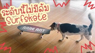 โลกของแสนดี ตอน แสนดีเล่น Surf Skate