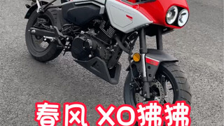إن قرد CFMOTO XO اللطيف والرائع هو أمر مؤسف حقًا بالنسبة لي لاختبار هذه السيارة.