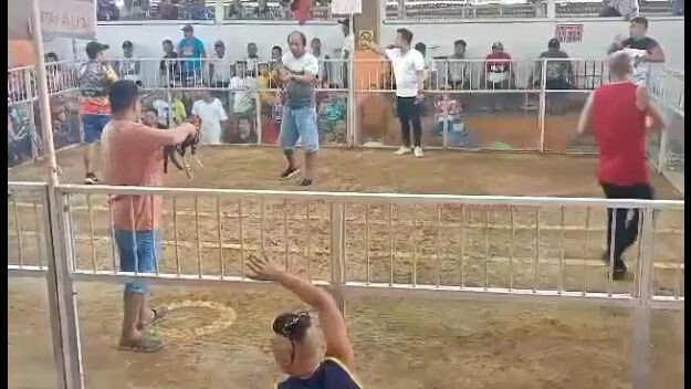 winner our grey hennie👌