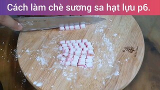 cách làm chè sương sa hạt lựu p6