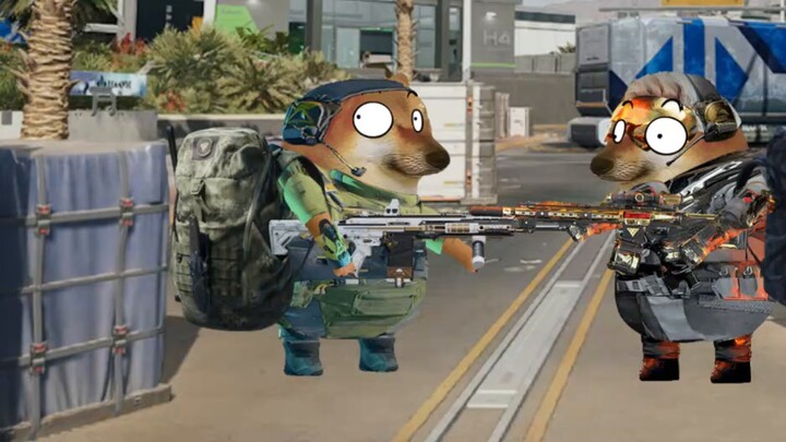 เมื่อคุณพบหนูรหัสระหว่างการอพยพ