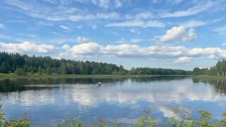 Emotional Rollercoaster 🎢✨