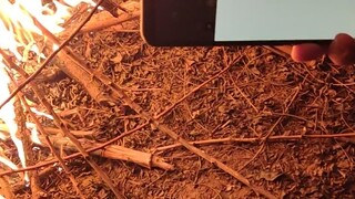 Witness the Xiaomi miracle