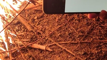 Saksikan keajaiban Xiaomi