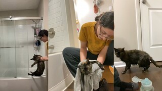 เหมียวเหมียว: ถ้าเธอยังอาบน้ำให้ฉันแบบนี้อีก วันนี้อย่าหวังเลยว่าจะได้รับการให้อภัยจากฉัน