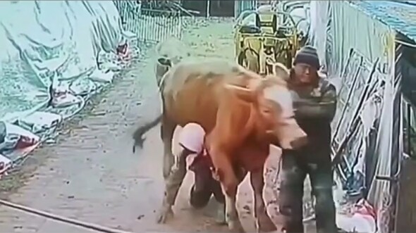 What are you going to do?