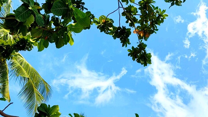 Nature's way