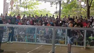 #sabong binabae 2 time 🏆