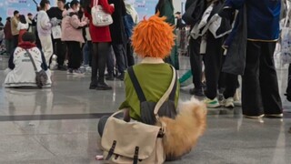 [Hinata Shoyo cosplay] A good orange puppy