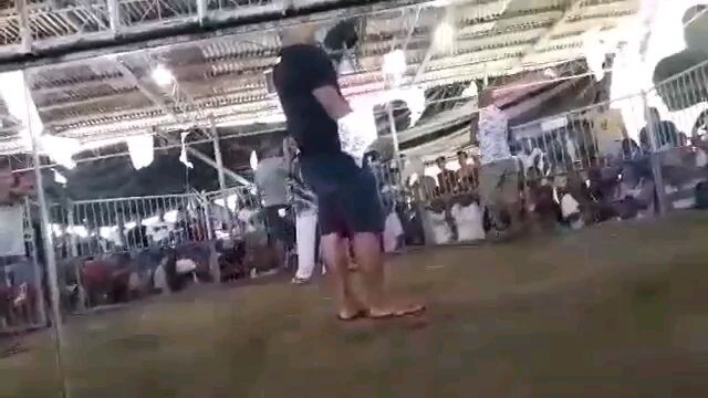 panalo,, meron side,, alimbuyugin,,