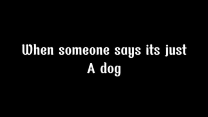 when someone says it's just a dog