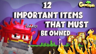 12 ITEMS that you must have in Growtopia!!!  | LMAO!!