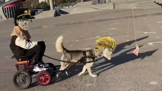 Jotaro Prank DIO