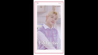 TFN(티에프앤) - '에델바이스(EDELWEISS)' Lyric Video KAIRI