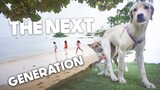 Raising Kids In The Philippines (Cute Puppies Too!) Siargao Vlog