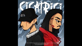 M.G.L ft. Swisher - Cicatrici