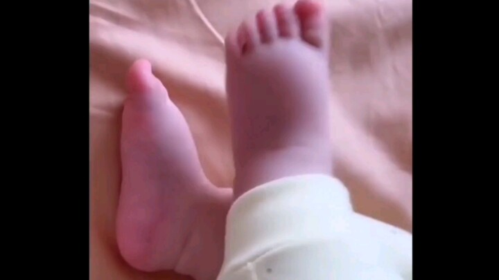 人类幼崽早期驯服脚脚，简直萌翻了！