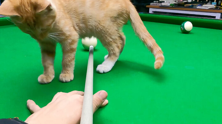 شقي أونو