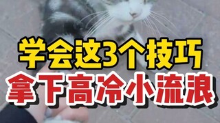 It’s easy to kidnap stray cats if you learn these three tips!
