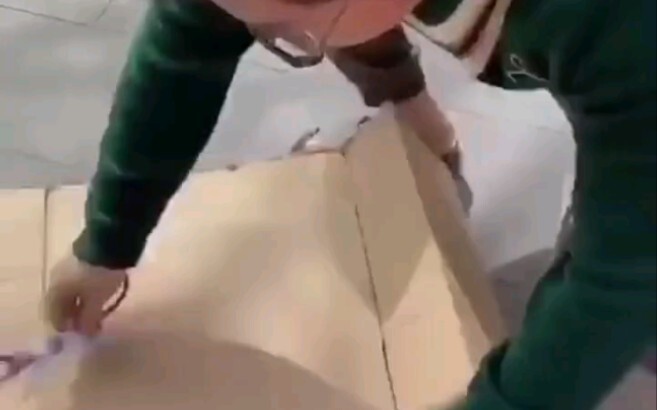 Chinese brothers gave masks to their French neighbor, who, overjoyed, shouted "Long live China!"