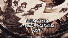 RIBUAN KERA KEPUNG PUSAT KOTA PART 1