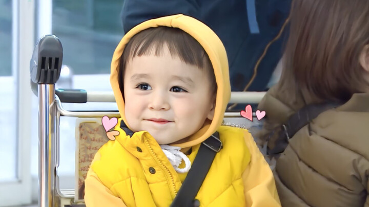 【Bentley】“Aku akan selalu menyukai Bentley di masa bunga dandelion” “Buah kiwi di dunia ini sudah be