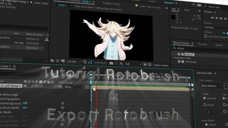 Tutorial Rotobrush & Export Rotobrush in After Effect