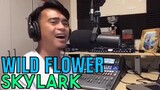 WILD FLOWER - Skylark (Cover by Bryan Magsayo - Online Request)