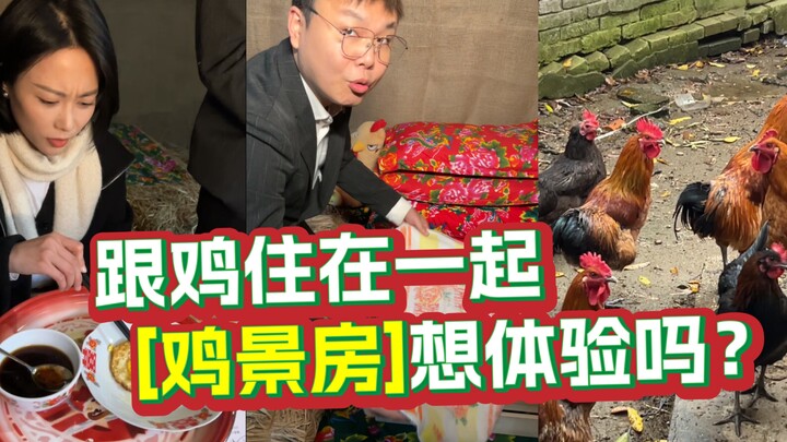 Ở chung với gà, bạn có muốn thử trải nghiệm phòng view gà không?
