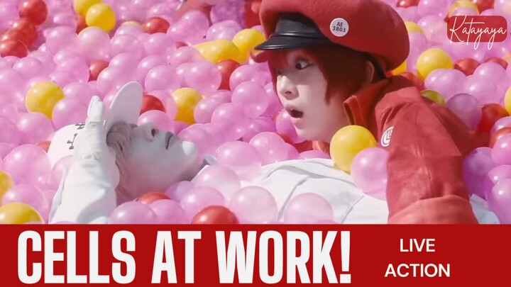 Aduhai Serunya! Cells At Work Live Action yang Meng-Edukasi 🌸