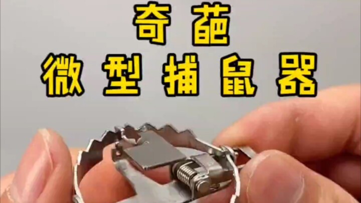 My Weird Toy: Miniature Mouse Trap