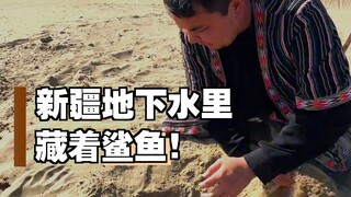 新疆居然有沙漠海鲜？