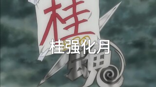 欢迎来到桂强化月