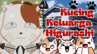 Kucing Biasa yang Jadi Awal Petualangan Kagome dan Inuyasha!” 🐱✨| 5 Fakta Menarik Karakter Buyo