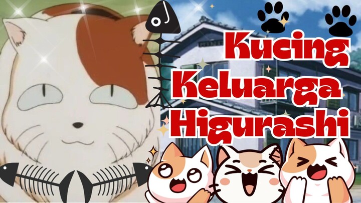 Kucing Biasa yang Jadi Awal Petualangan Kagome dan Inuyasha!” 🐱✨| 5 Fakta Menarik Karakter Buyo