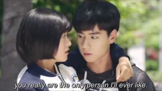 A Love So Beautiful (2017)