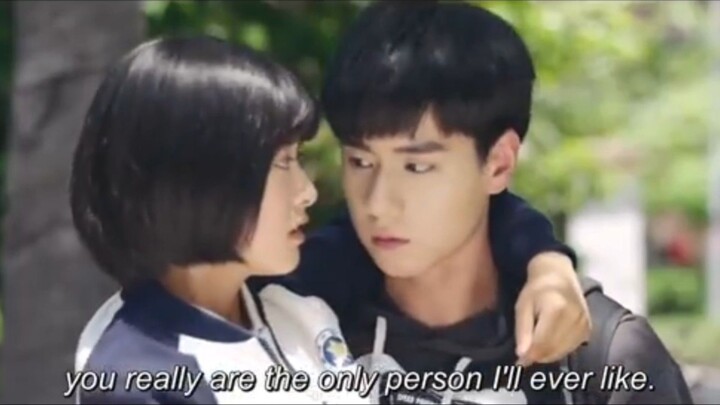 A Love So Beautiful (2017)